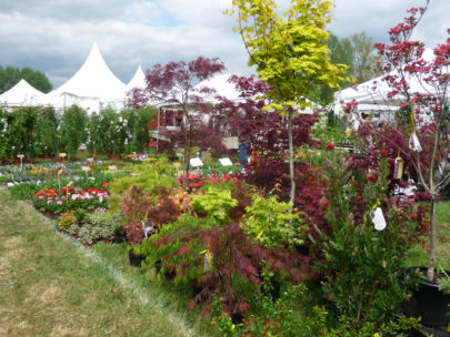 Salon Fleurs et Jardins du Vaudreuil 2014