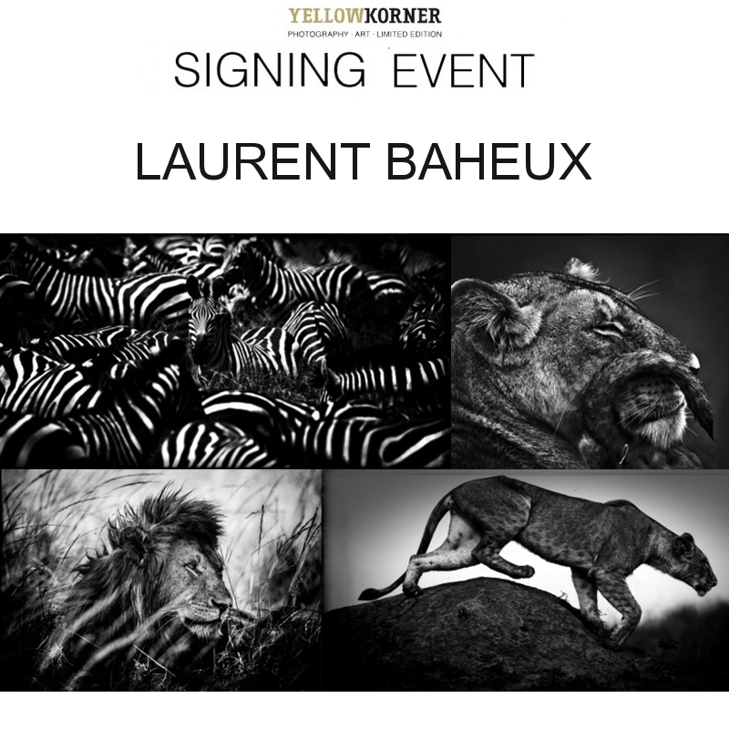 Le Signing Event de Yellowkorner à Rouen