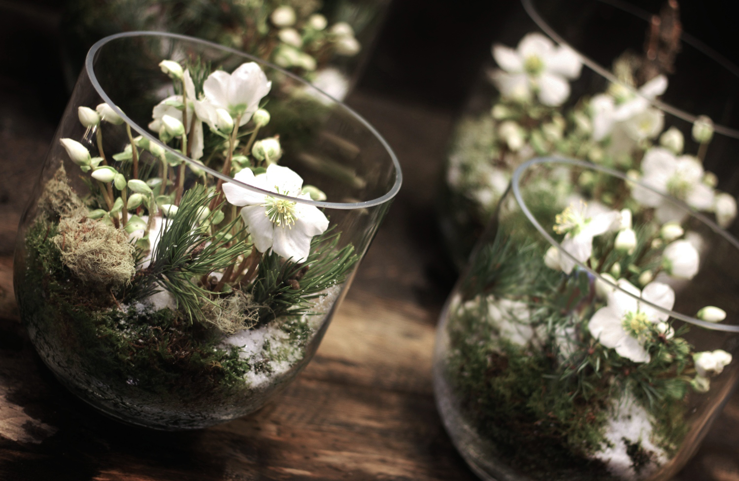 Les Cadeaux Floraux d’ Histoire de Fleurs